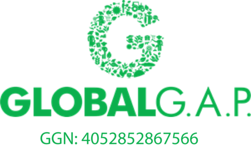 GLOBAL-GAP-GGN